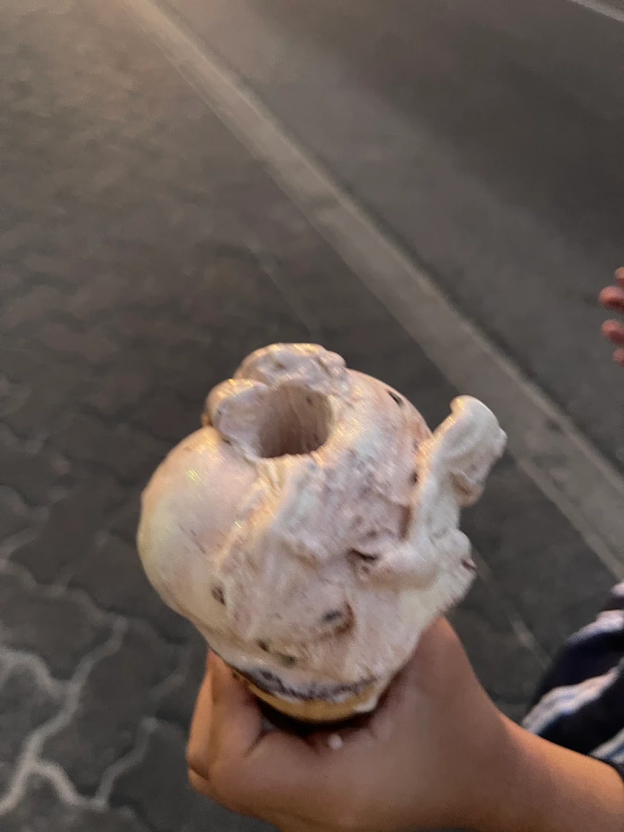 Highlights, St Louis Gelateria Brighton