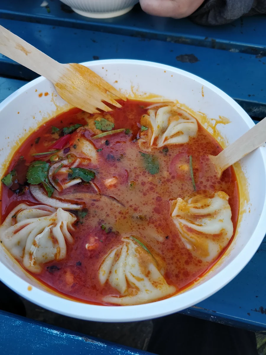 Chicken Dumplings