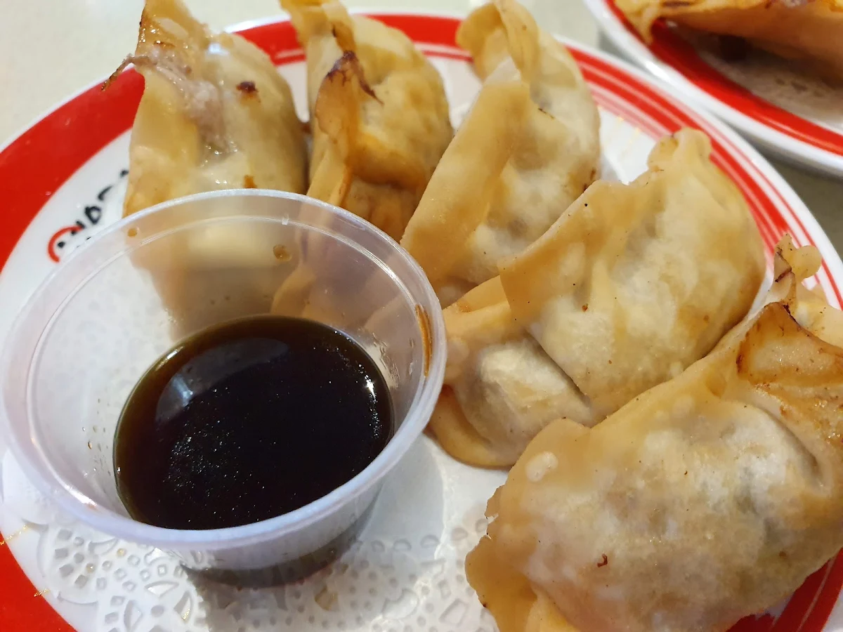Fried Dumplings
