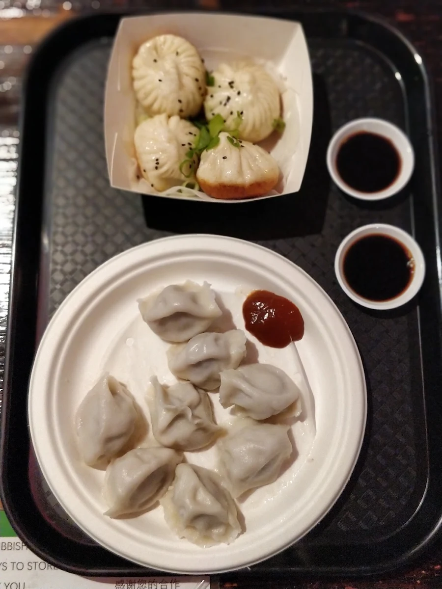 Pan Fried Pork Buns and Boiled Beef and Onion Dumplings