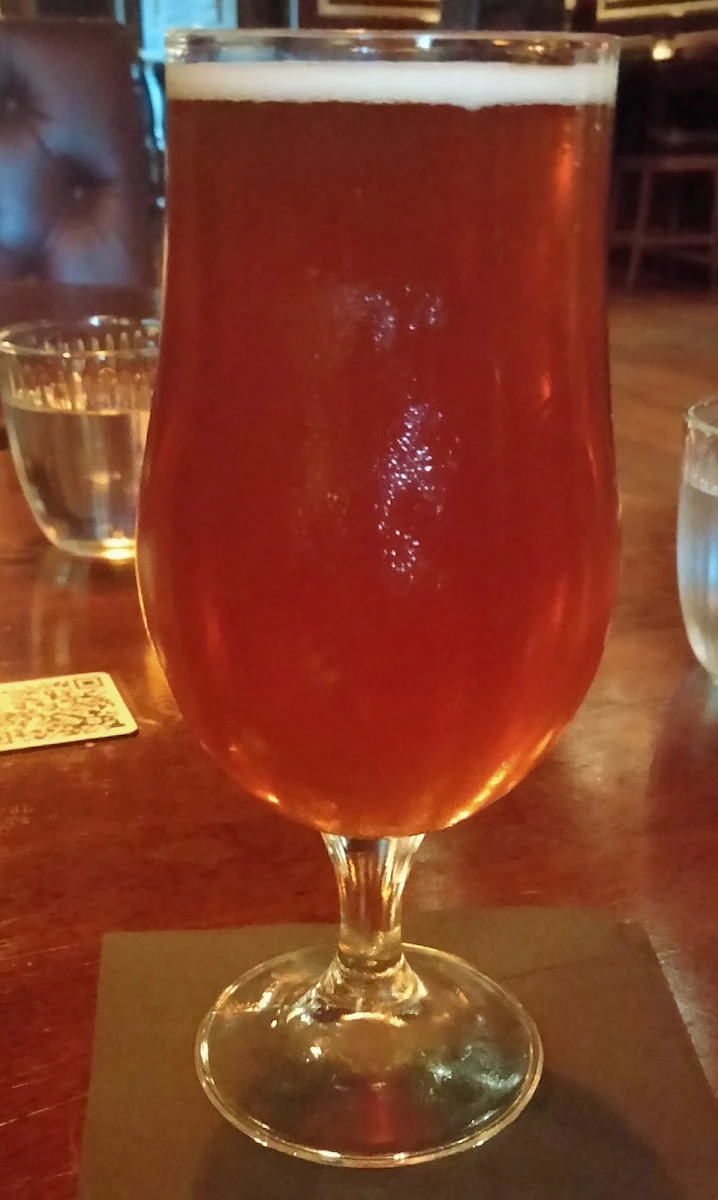 A Nice Beer, Dr Gimlette Brisbane