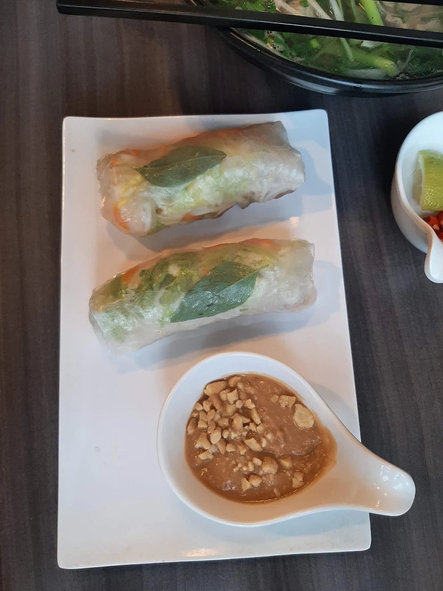 Vegan Spring Rolls