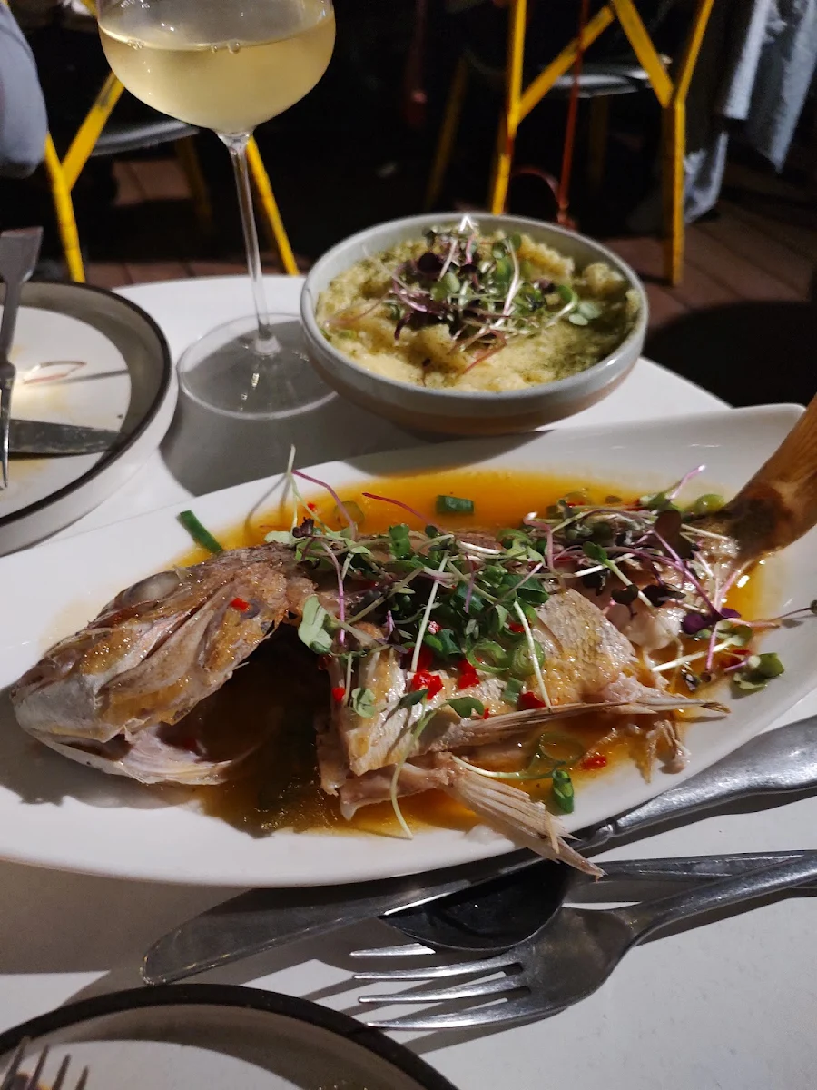 Snapper, Oh Loretta