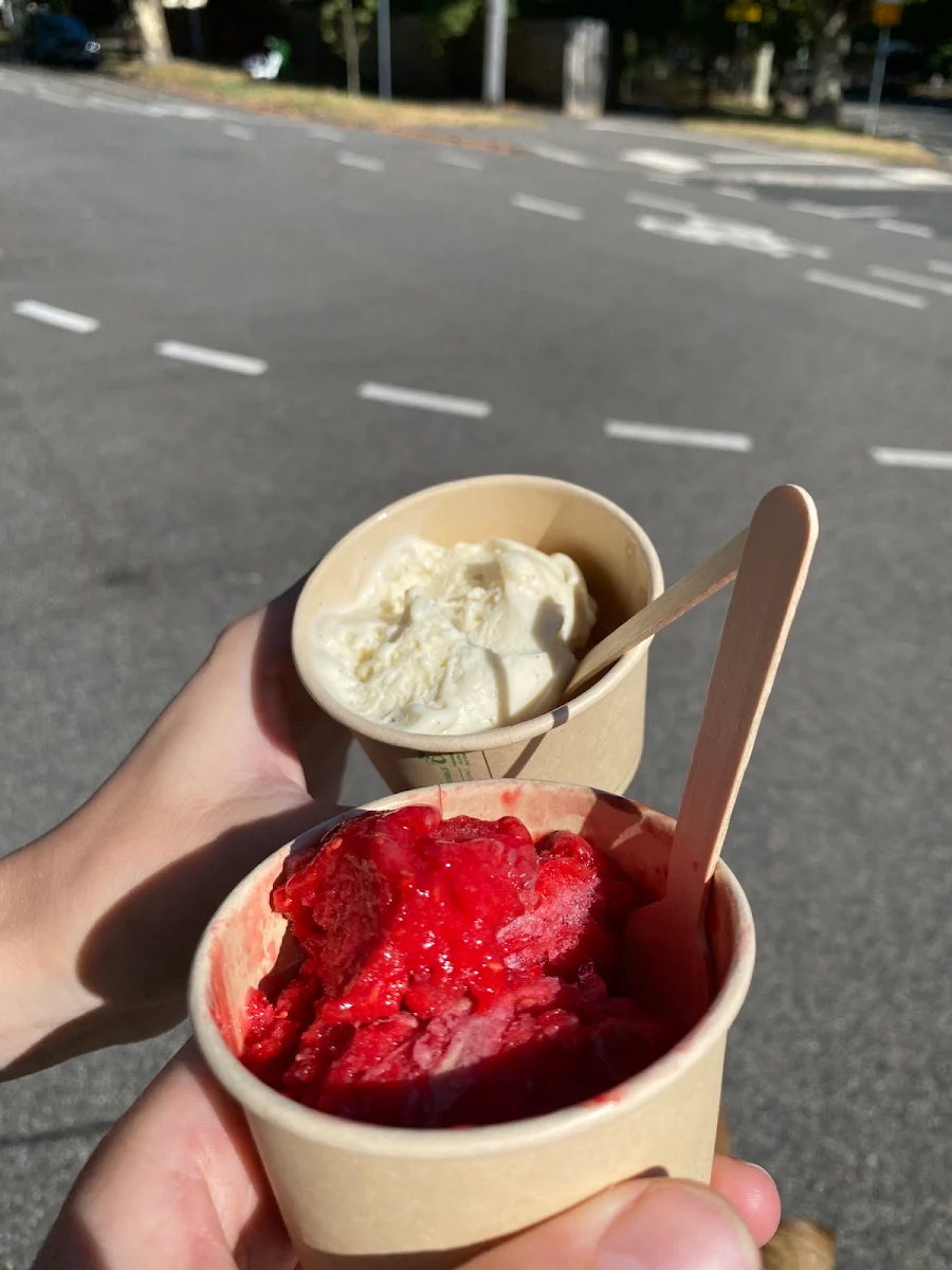 Raspberry Sorret, Melrose Place 3051