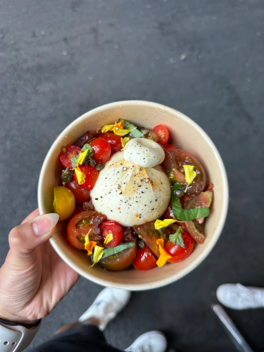 Highlights, Project Burrata