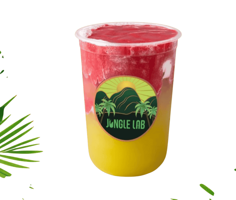 Highlights, Jungle Lab Broadmeadows