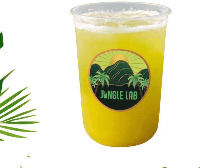 Highlights, Jungle Lab Broadmeadows