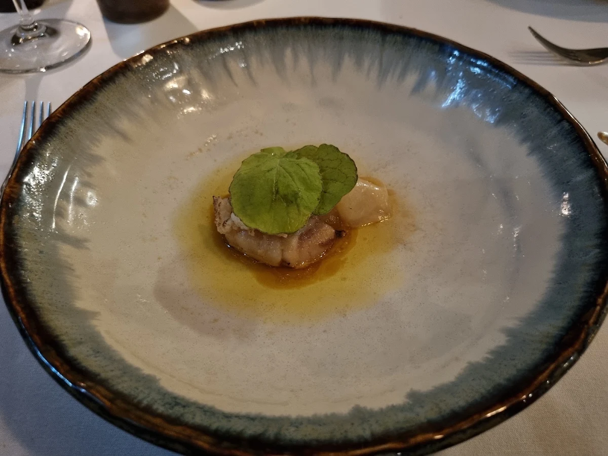 Toothfish, Hardy's Verandah