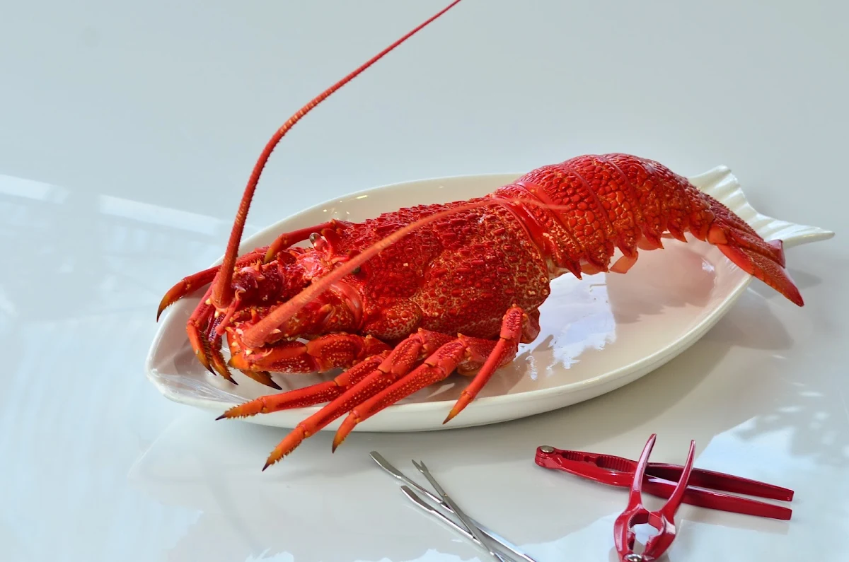 Crayfish, The Fresh Fish Place