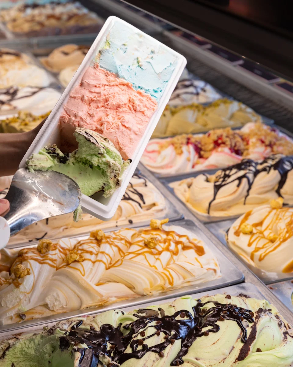 Highlights, Augustus Gelatery - Melton