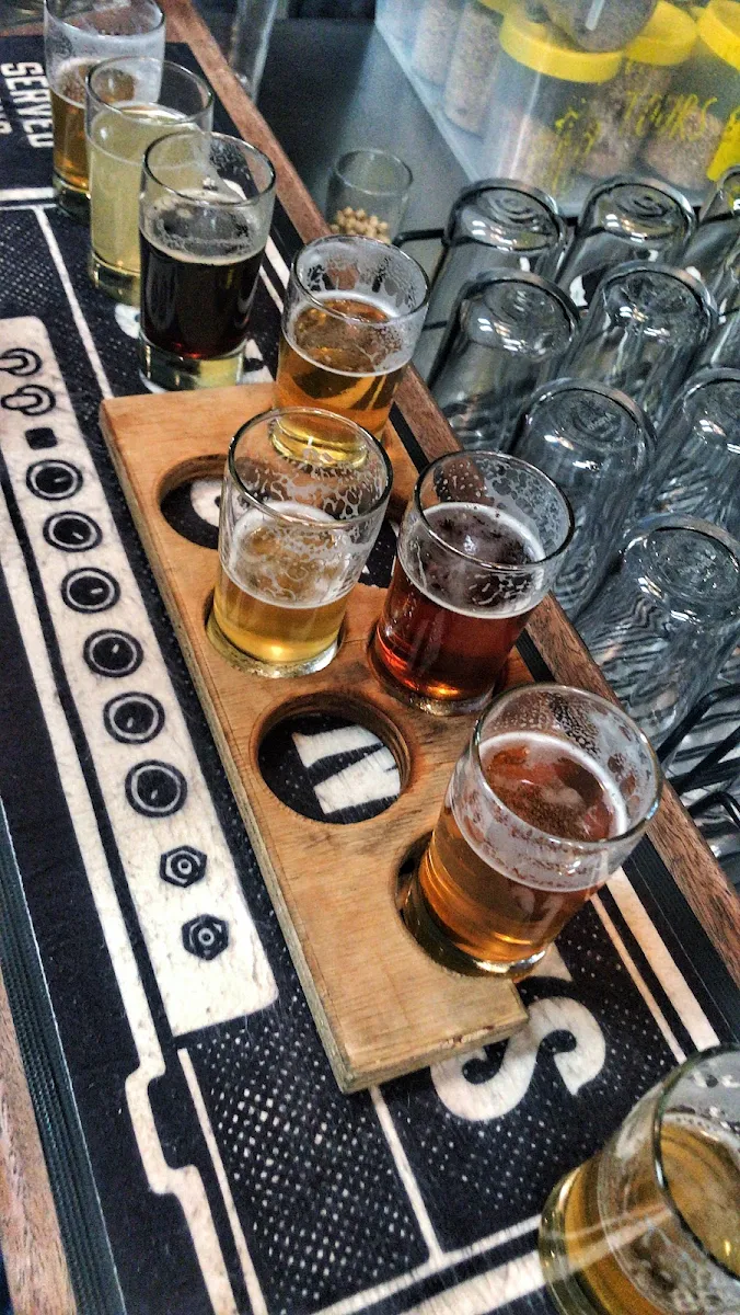 Highlights, Young Henrys - Craft Brewery and Tasting Bar