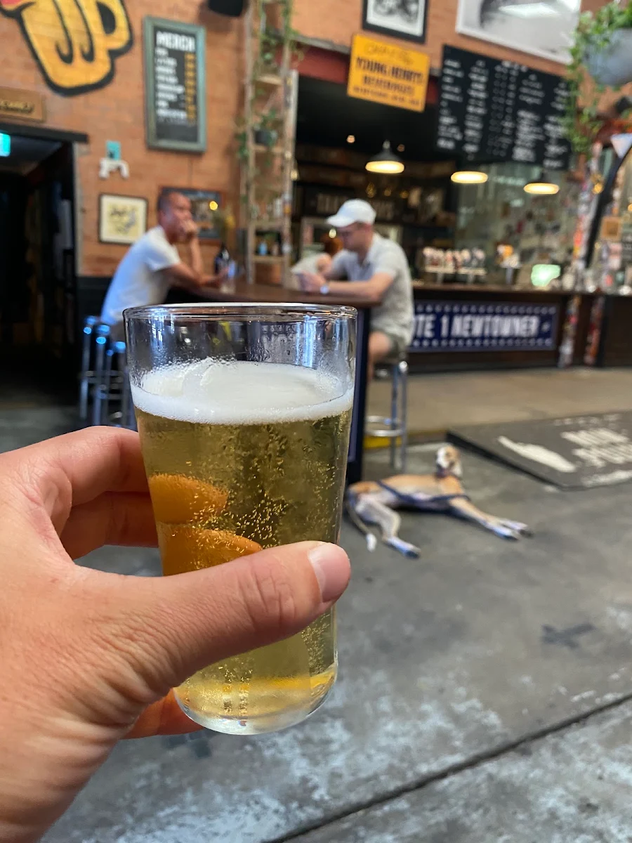 Highlights, Young Henrys - Craft Brewery and Tasting Bar