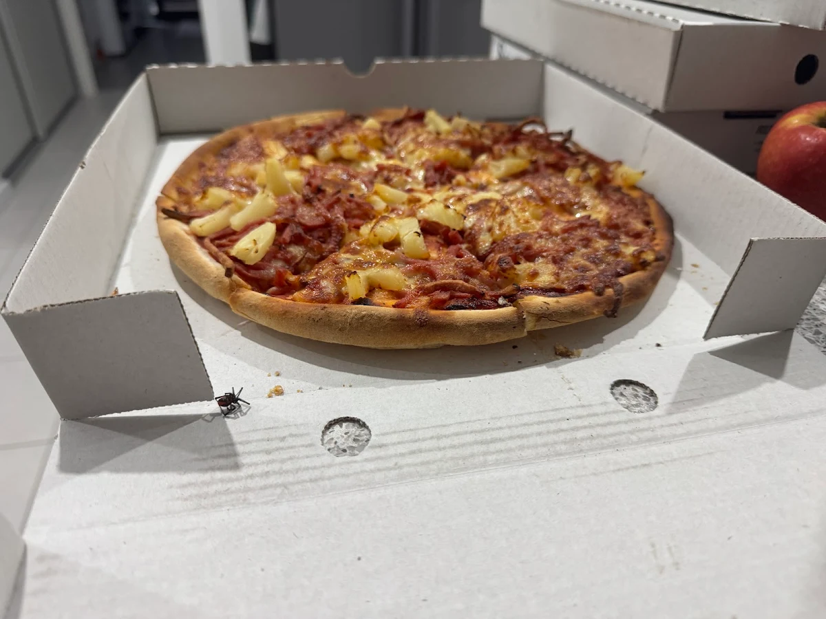 Highlights, Pizza Rider Harrisdale