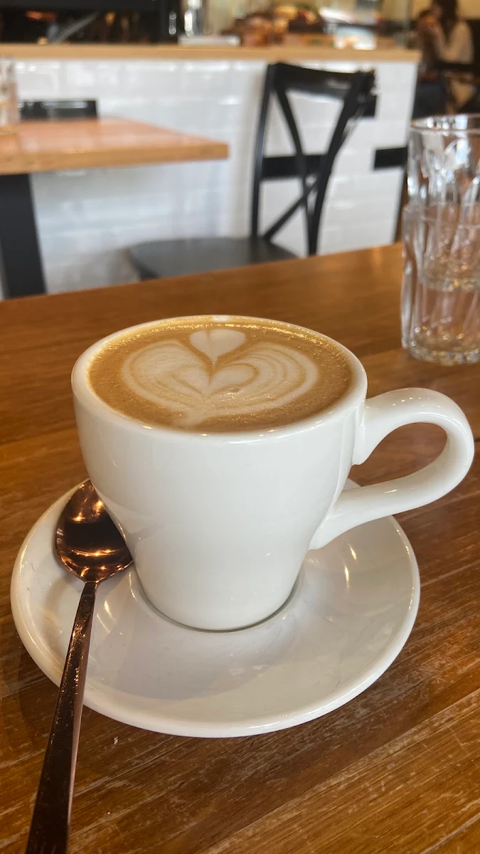 Latte, Property of Little One