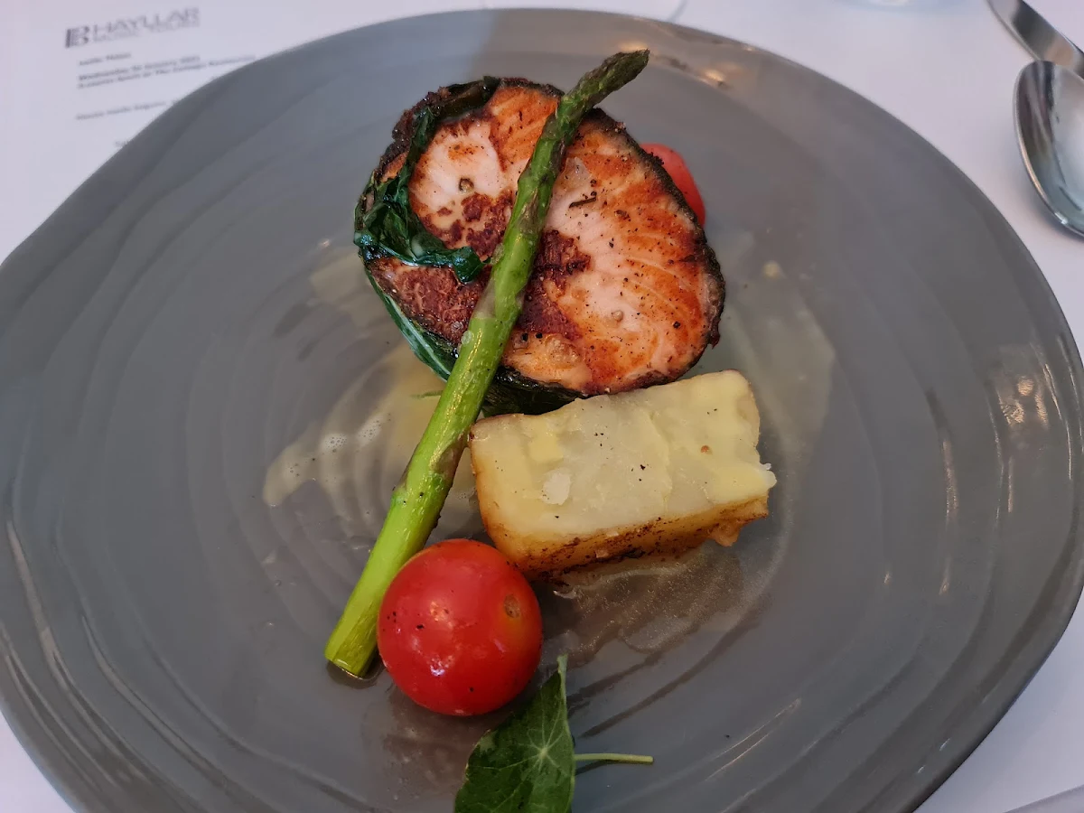 Salmon