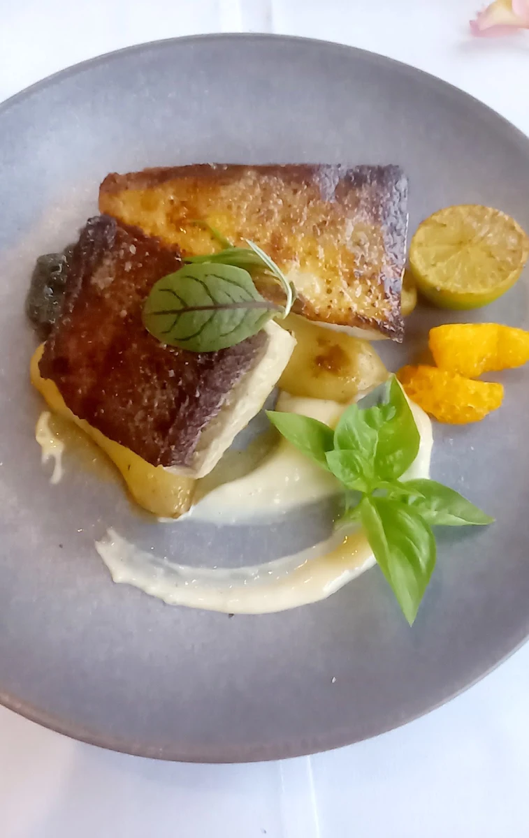 Barramundi, The Terrace Seafood Restaurant of Maleny