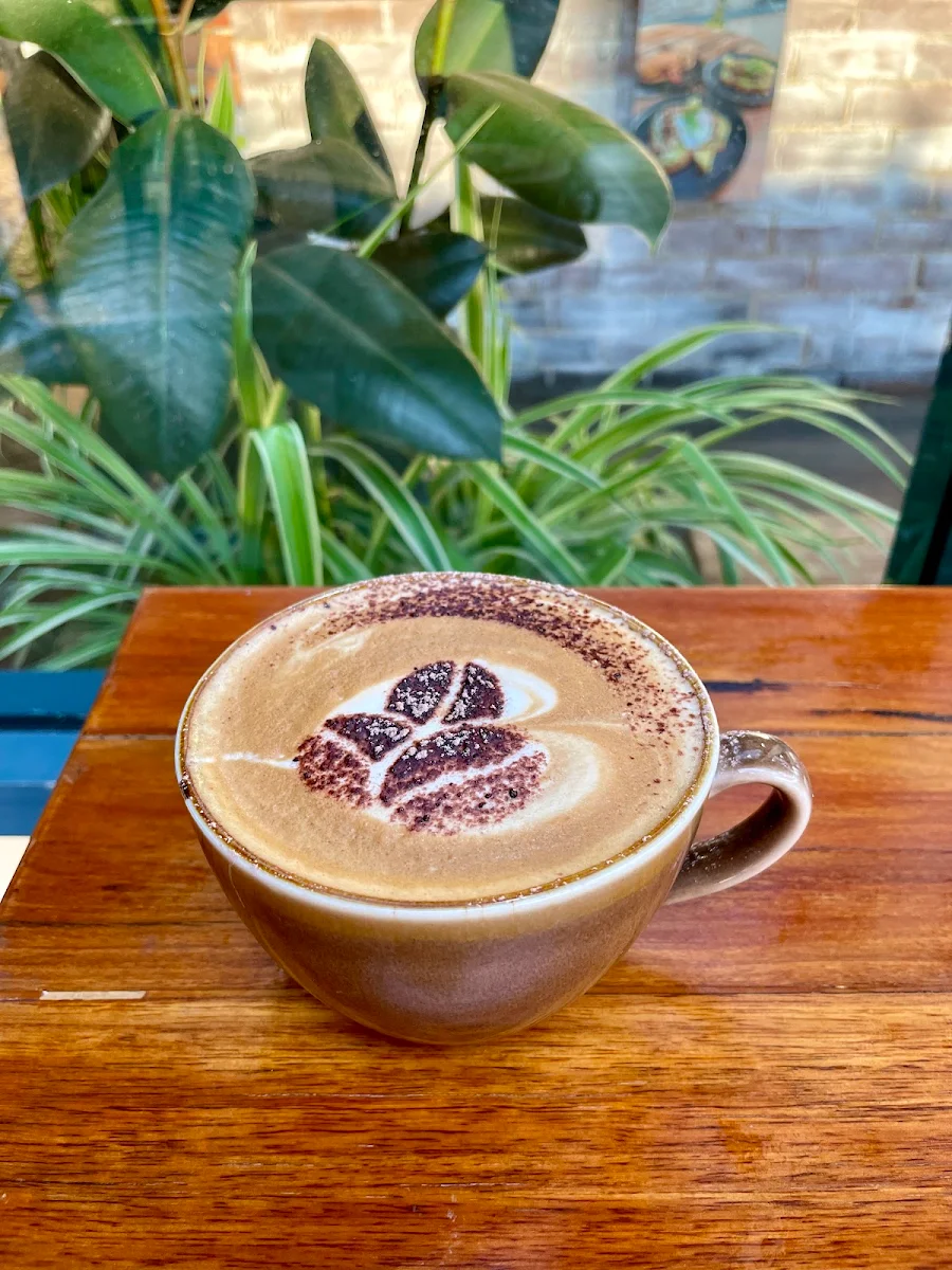 Highlights, Tree Branch Cafe narellan