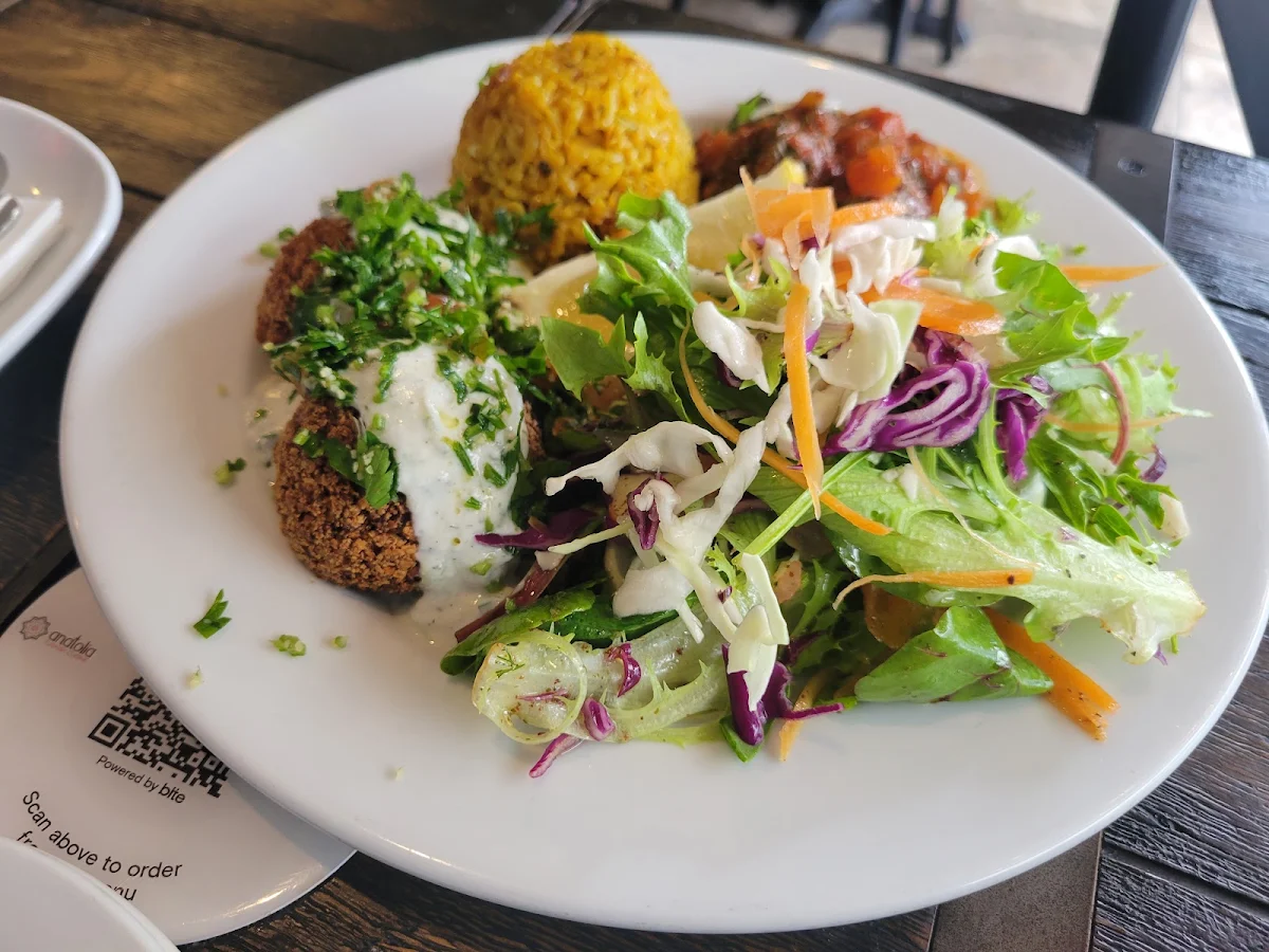 Falafel Plate