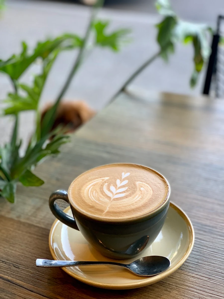 Flat White, Two Forks Bondi
