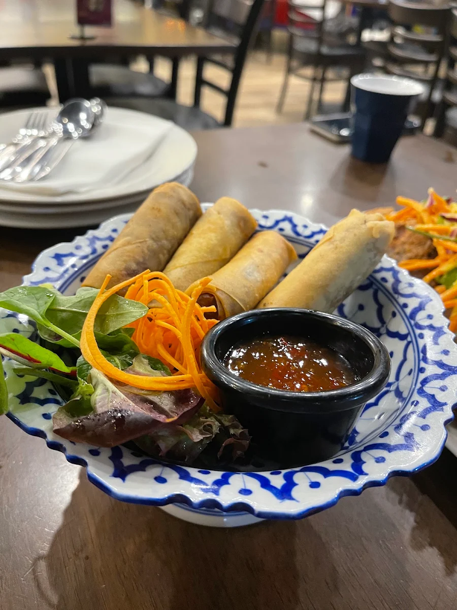 Vegetable Spring Rolls