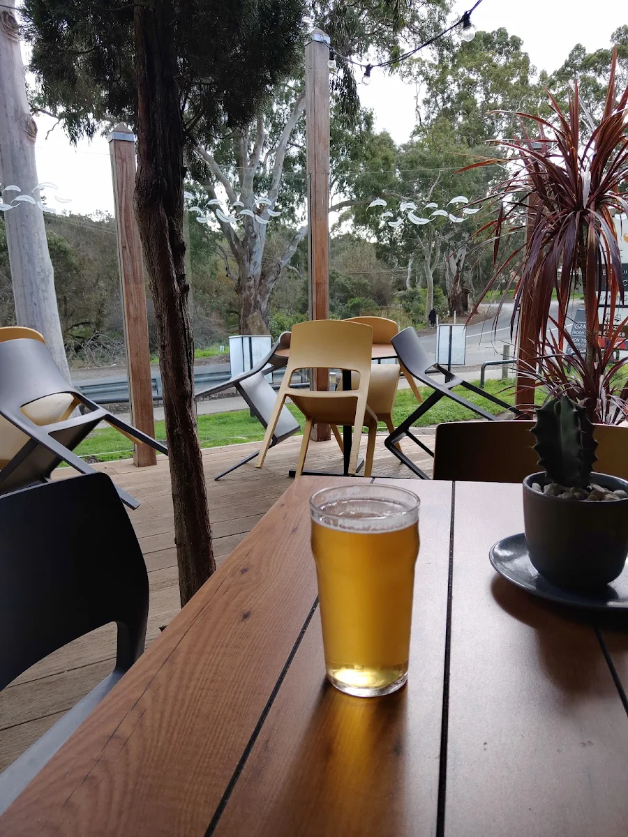 Beer, The Duck