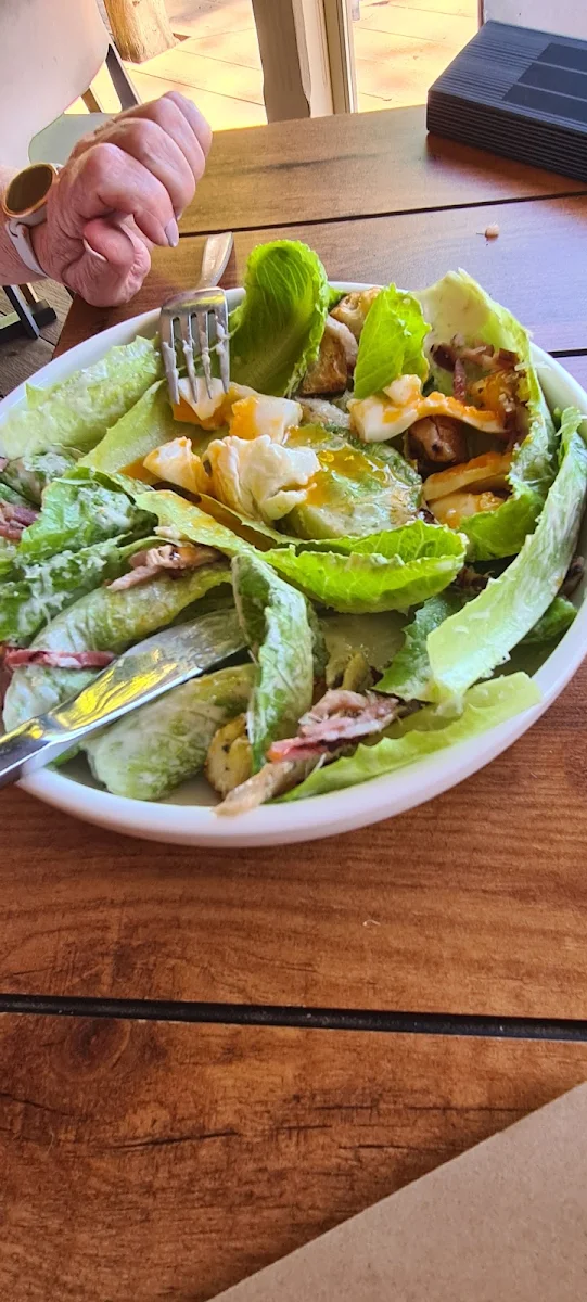 Ceasar Salad, The Duck