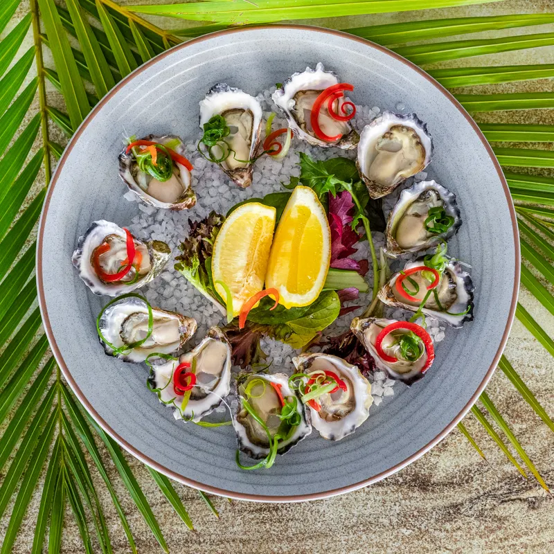 Fresh Oysters, Aromas On Sea