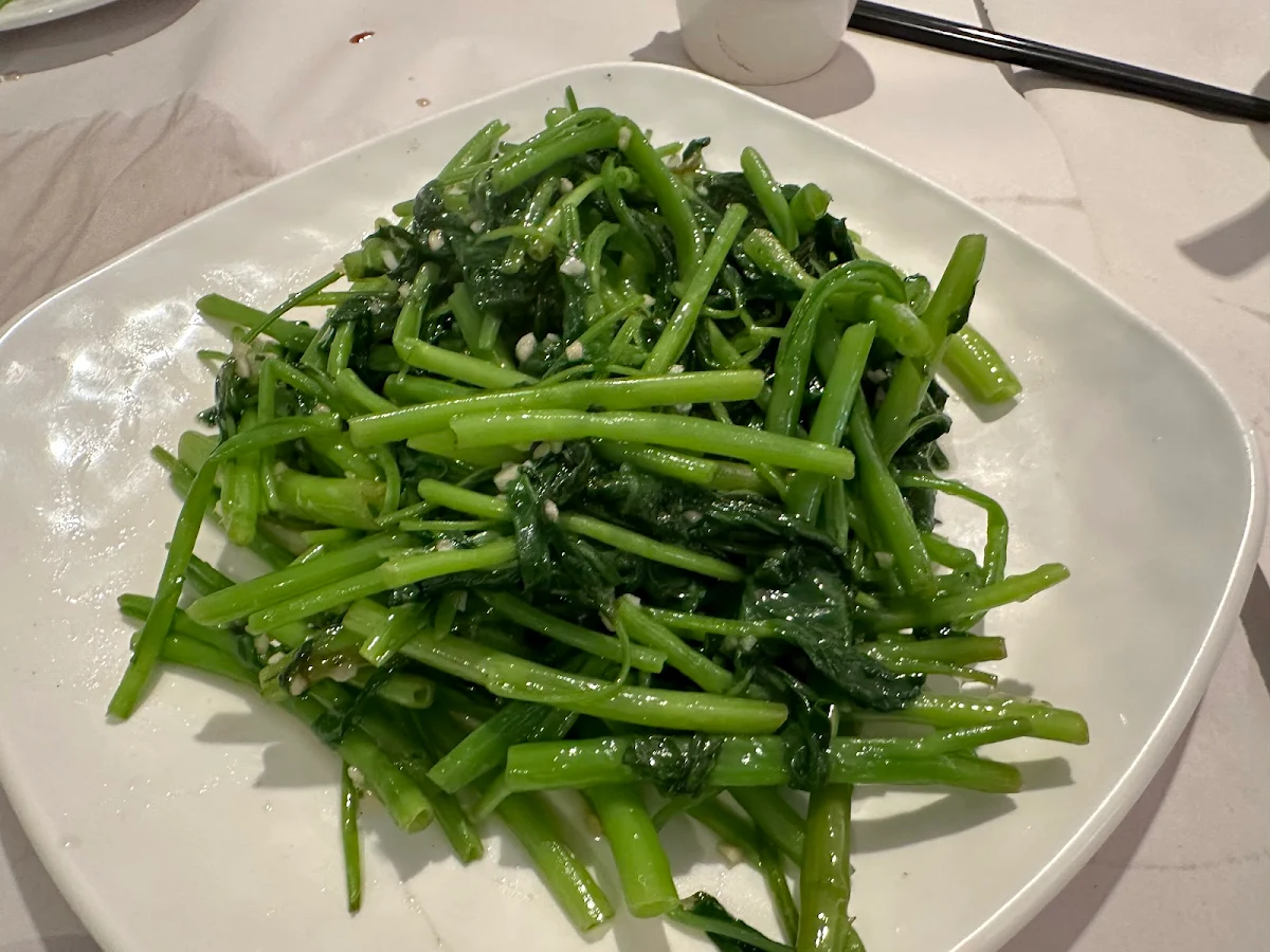 Chinese Broccoli