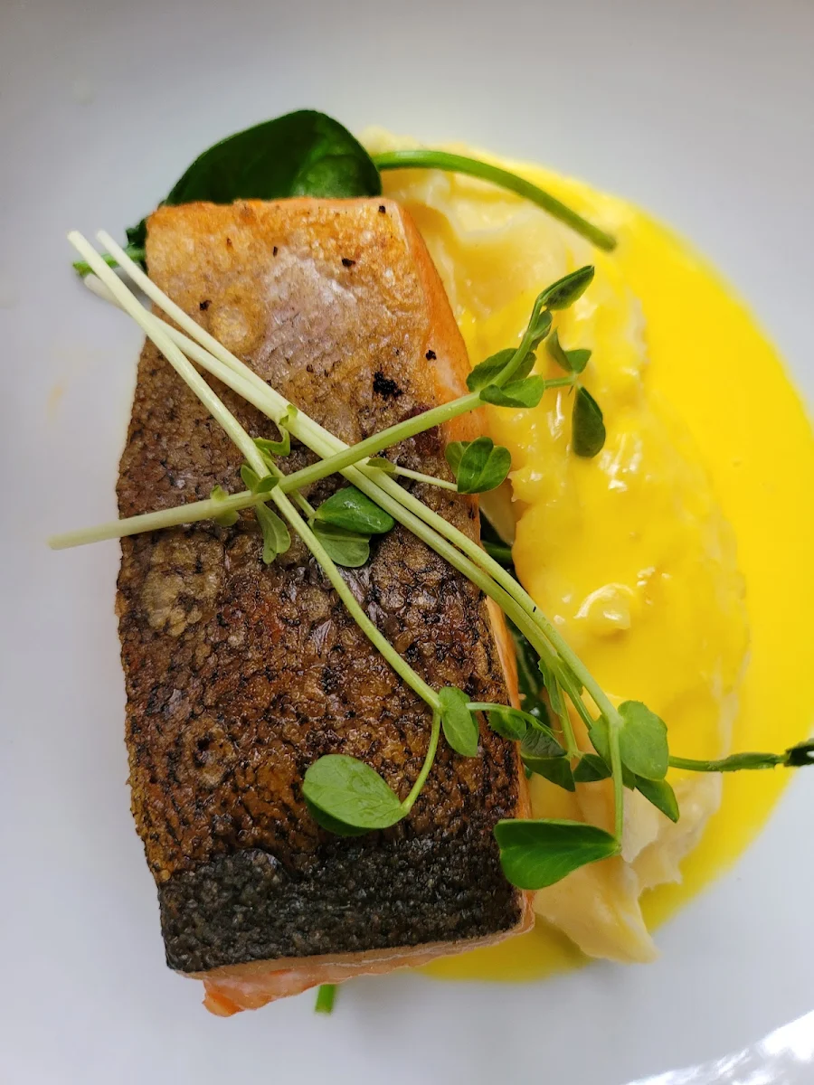 Salmon Fillet