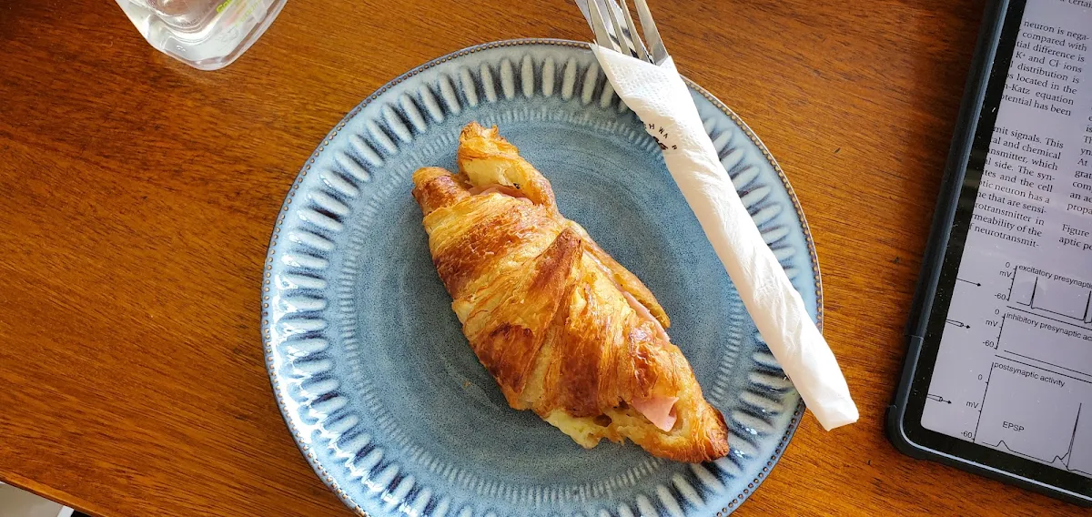 Ham and Cheese Croissant