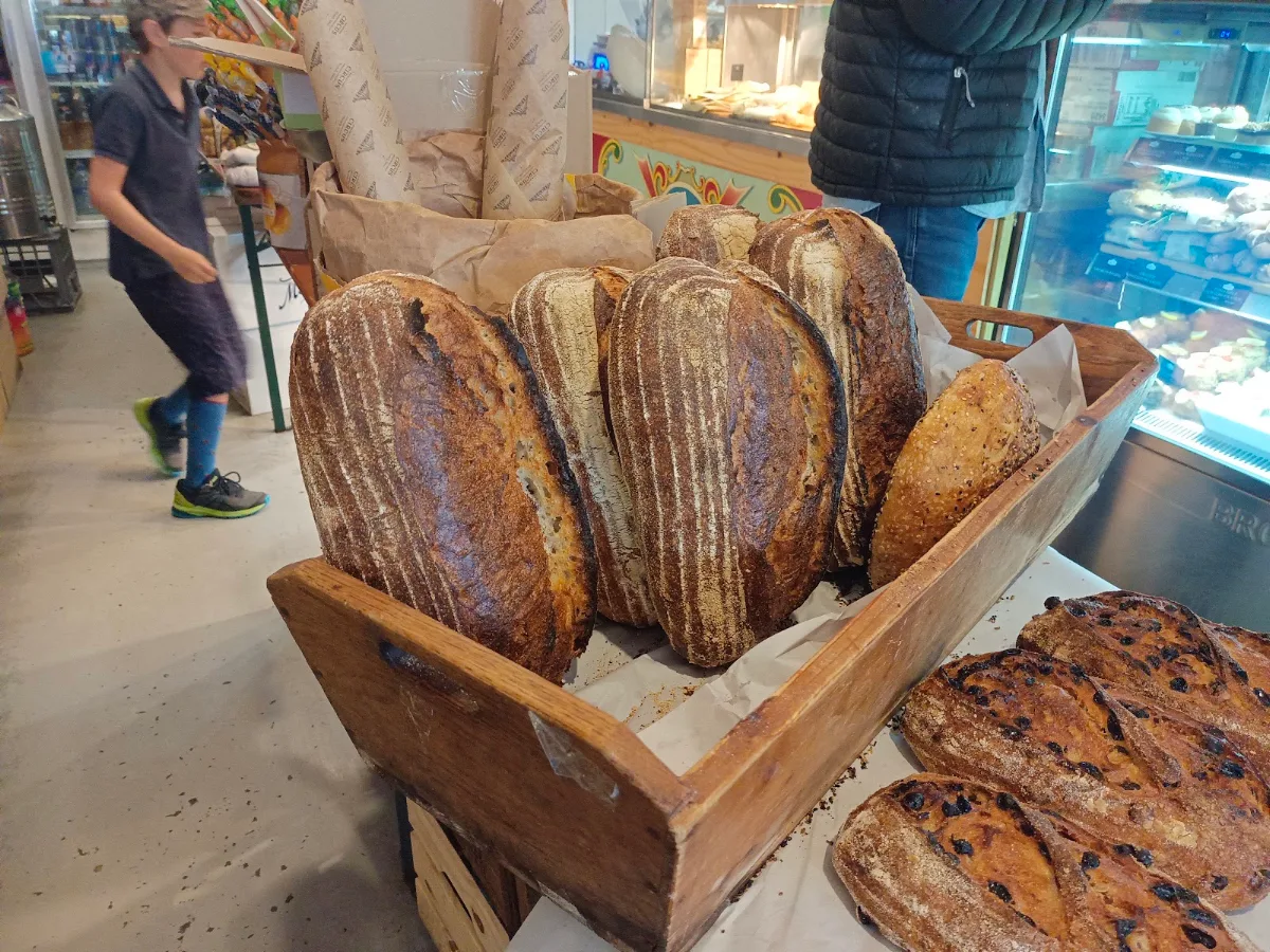 Bread