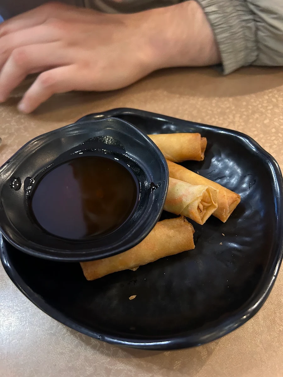 Spring Rolls, New Dumpling House