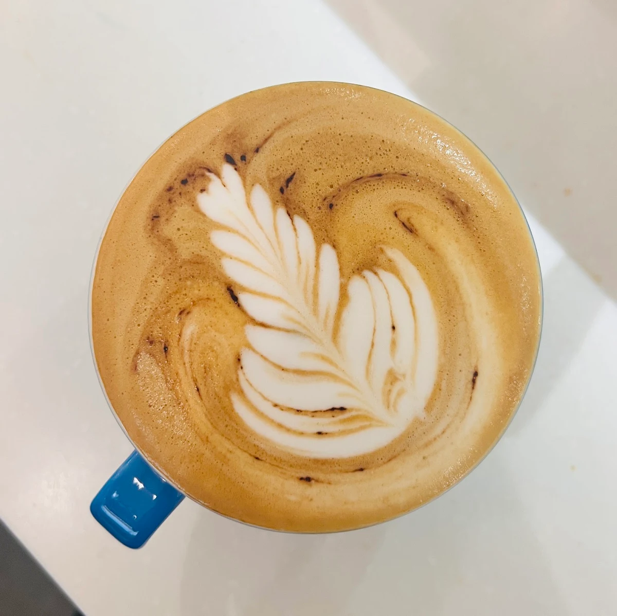 Highlights, Cafe Pegasus Redbank