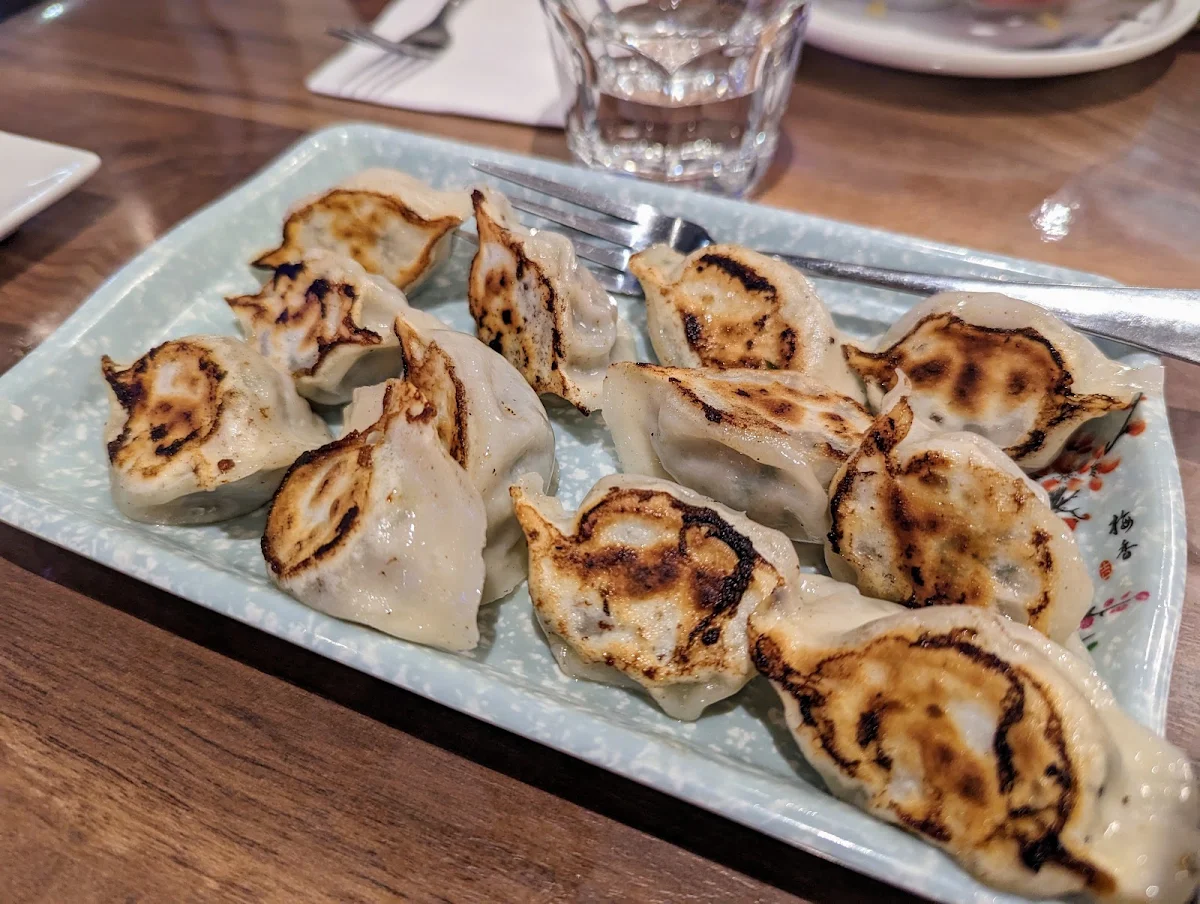 Pan Fried Dumplings