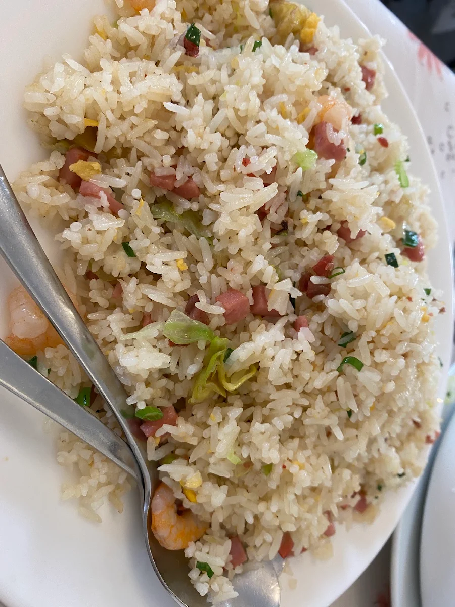 Roast Duck Fried Rice