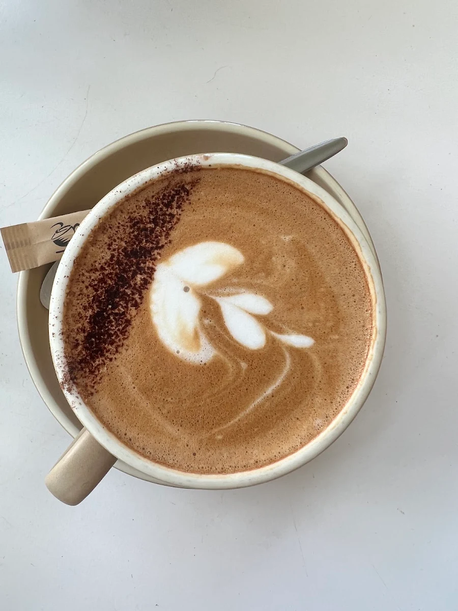 Mocha, Shelly Beach Cafe Ballina