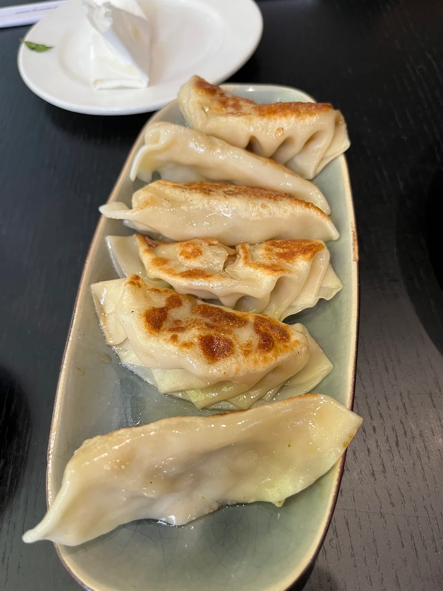 Gyoza, condor japanese restaurant