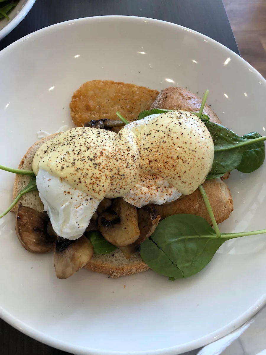 Eggs Benny - Blat, The Coffee Club Harbour Town Gold Coast