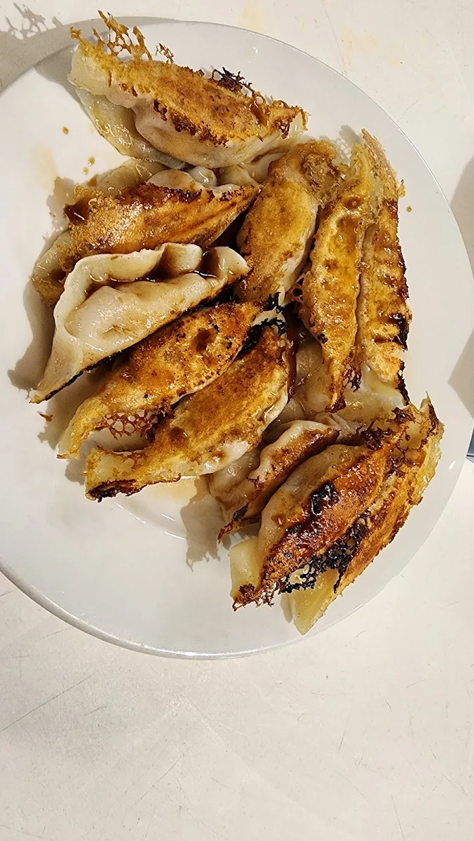 Pan Fried Pork Dumplings