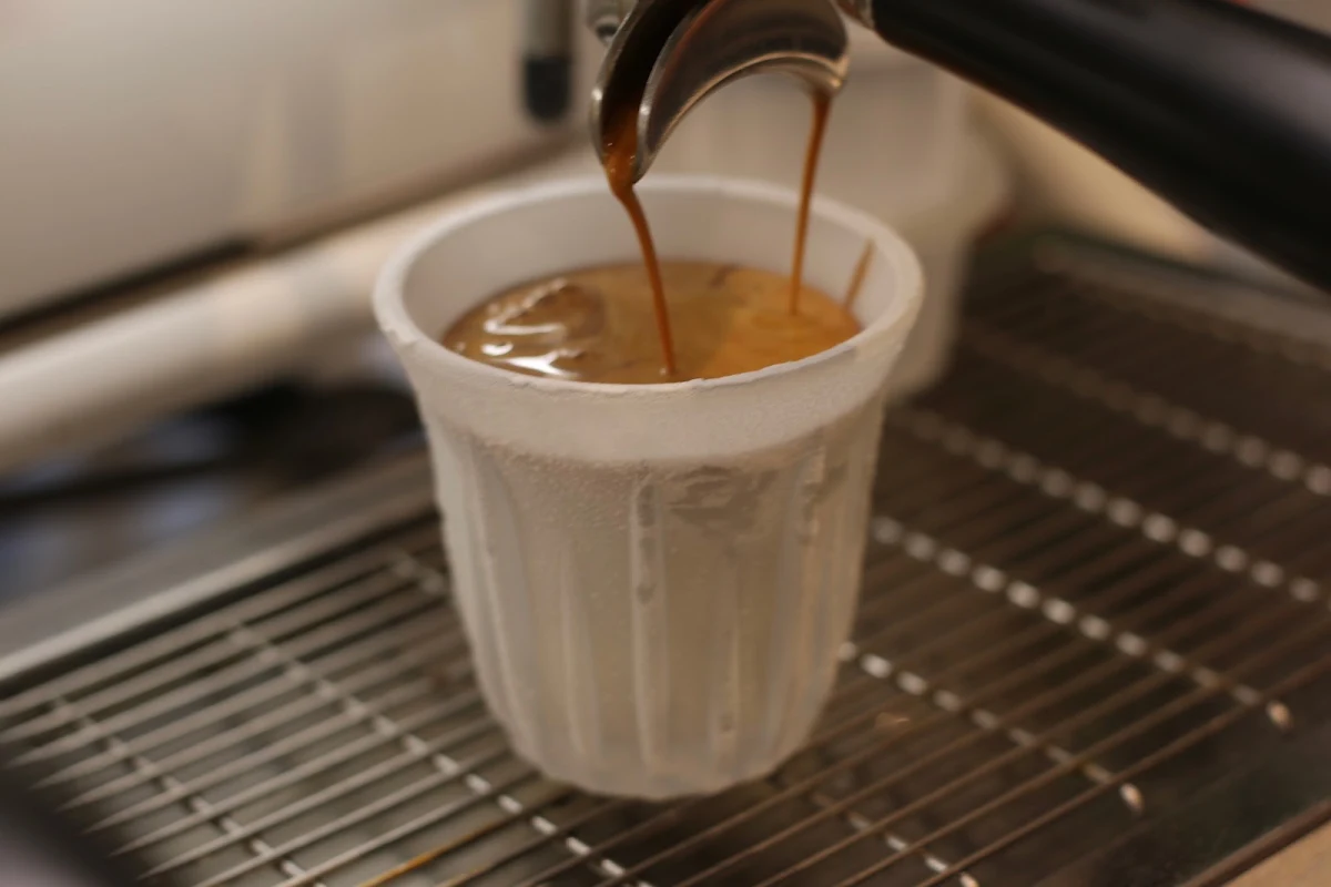 Highlights, Cozy Brew Specialty Coffee