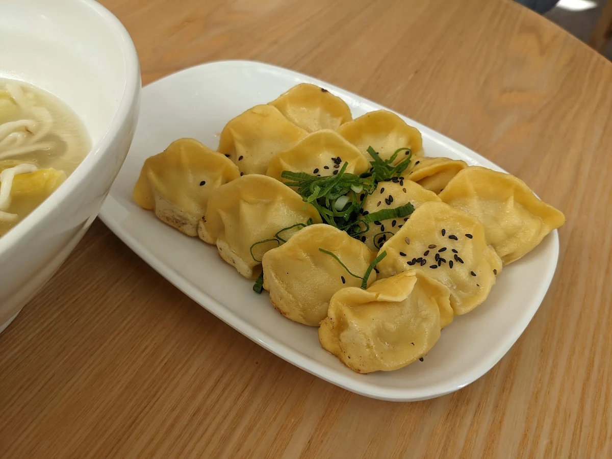 Pan Fried Chicken and Prawn Dumplings
