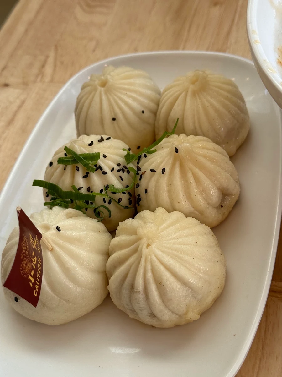 Pan Fried Pork Dumplings