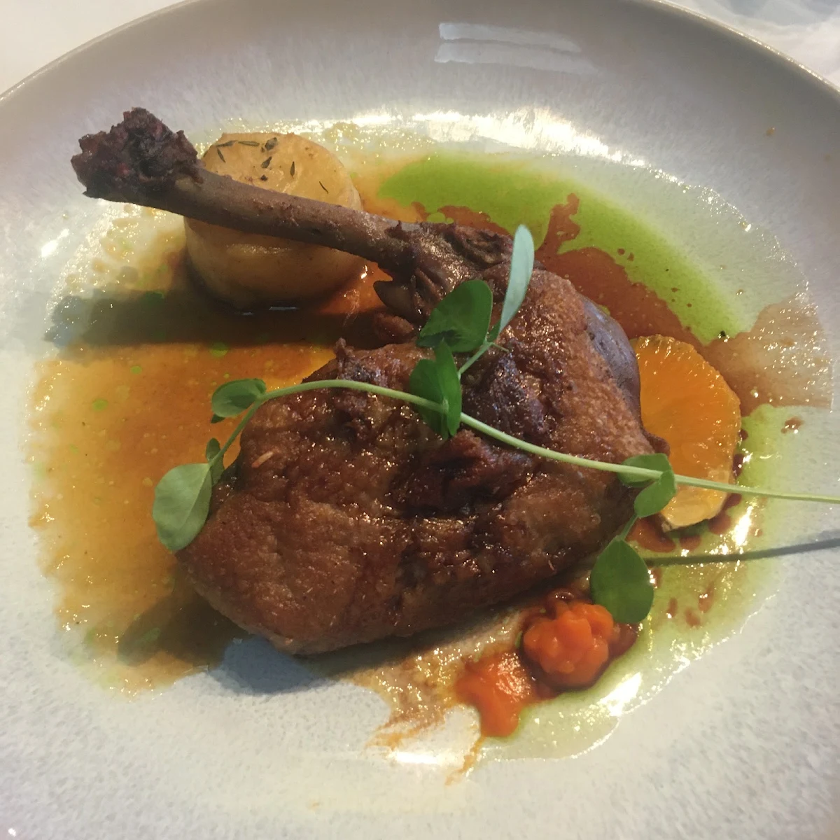 Duck, Brokenback Bar