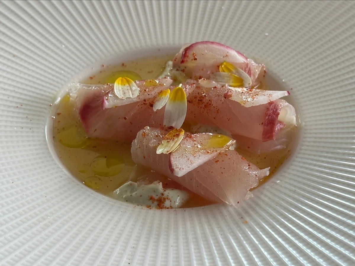 Kingfish Sashimi