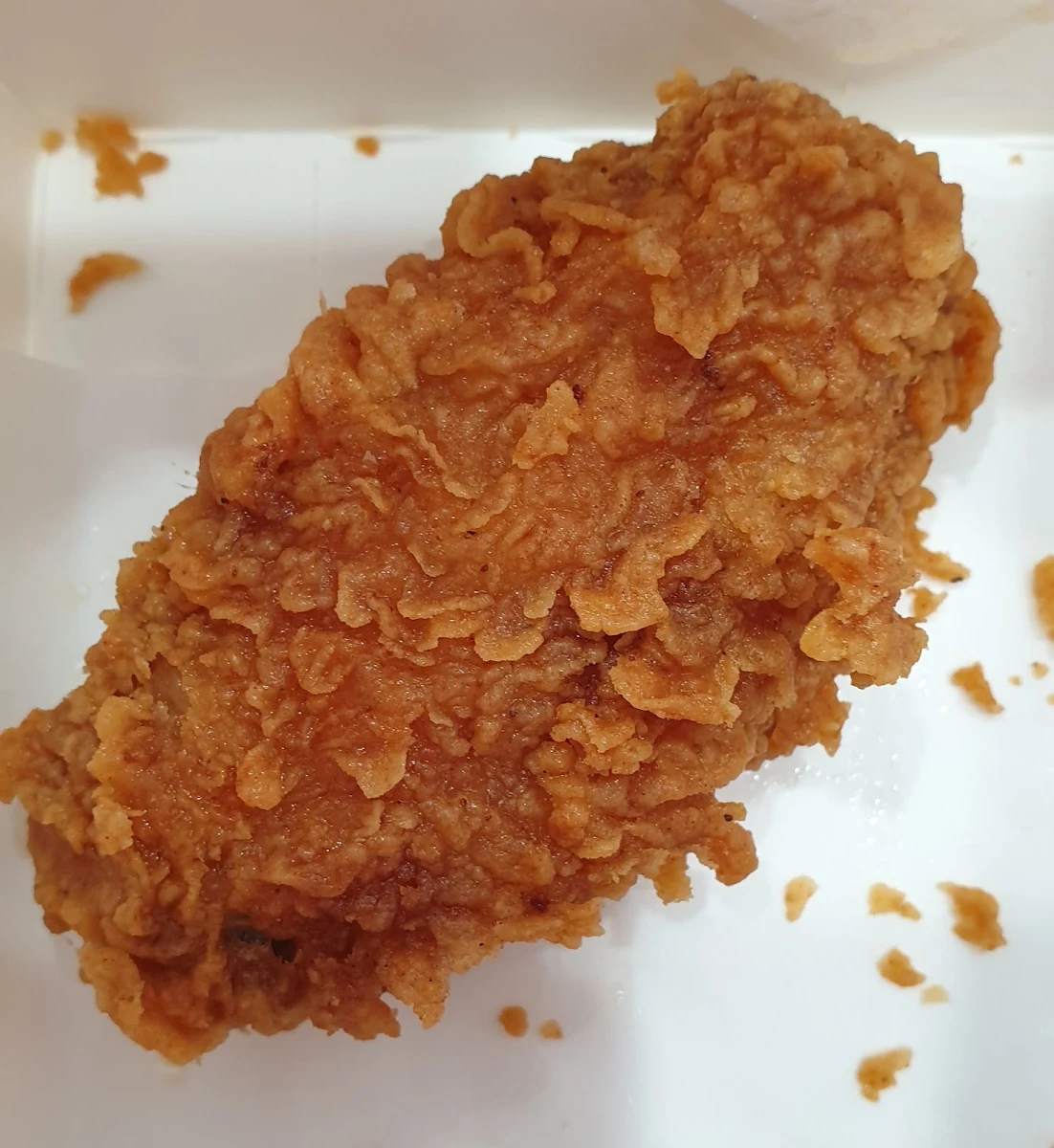 Wicked Wings