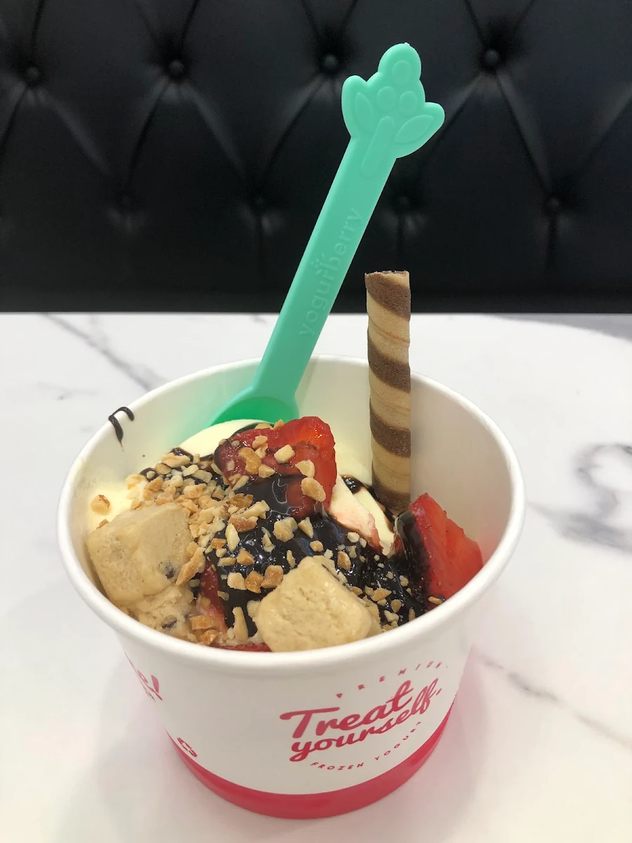 Mango Yogurt Topped with Fresh Fruit Cookie Dough Dark Chocolate Sauce and Nuts