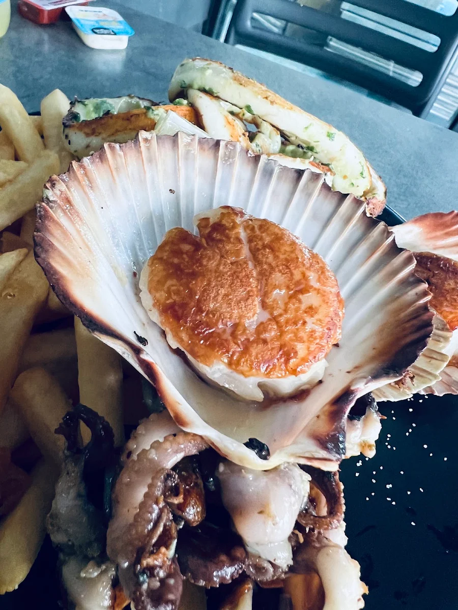 Scallops, Kirribilli Seafoods