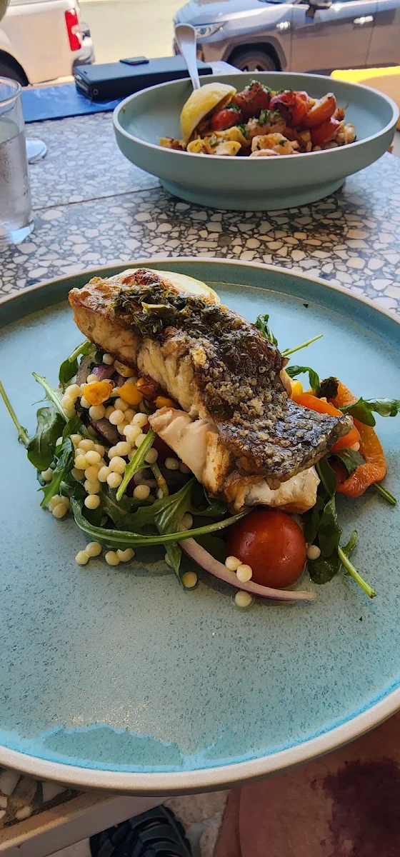 Barramundi GF, The Belvedere