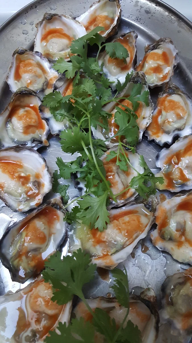 Oysters