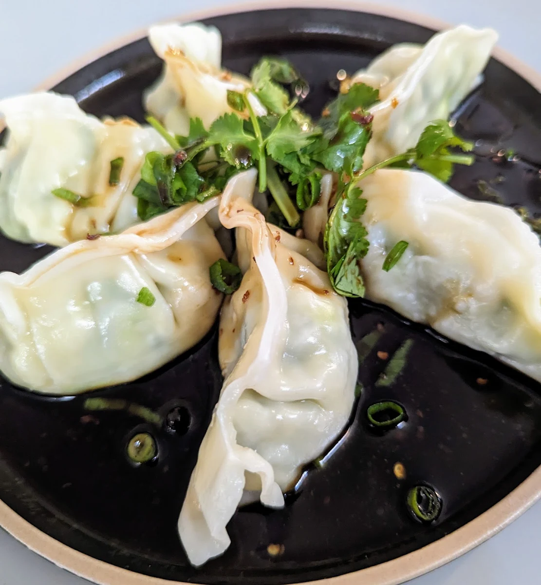 Chicken Dumplings